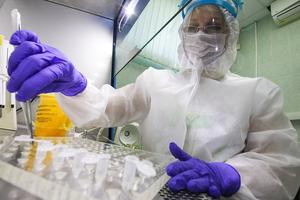 В НАН Беларуси идет поиск лекарства, прицельно действующего на коронавирус