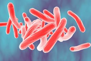 Туберкулез – всемирная проблема