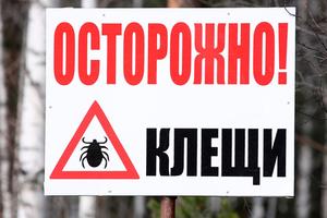 Осторожно, клещи!