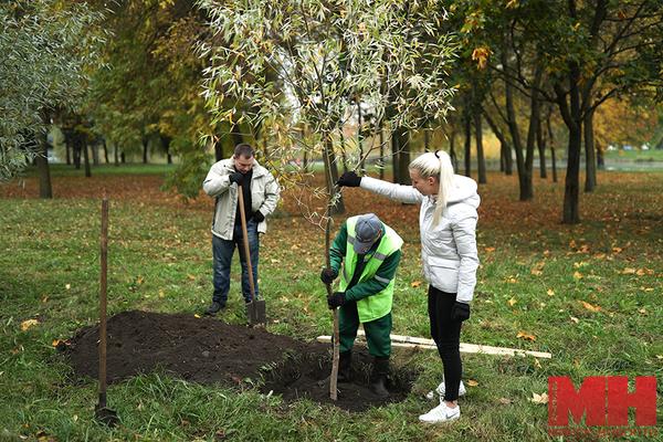 Как будут озеленять улицы Минска этой осенью