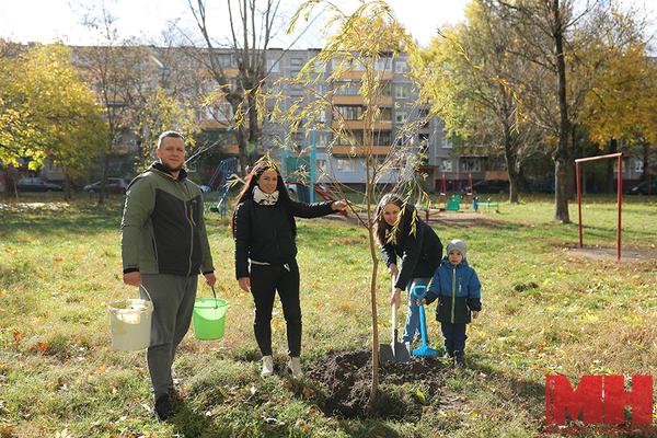 Проект «Зеленый двор вместе!» дал прописку сотням тысяч деревьев и кустарников. Как стать участником