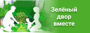 Акция «Зелёный двор вместе!»