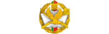 Институт пограничной службы